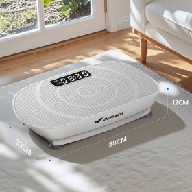merach 2398-4
